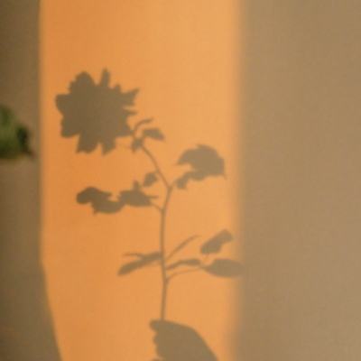 燃烧的蔬菜4新鲜战队手游下载