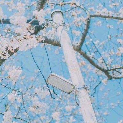 大混乱2无限金币钻石版下载