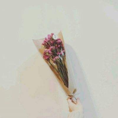 作妖计qq版下载
